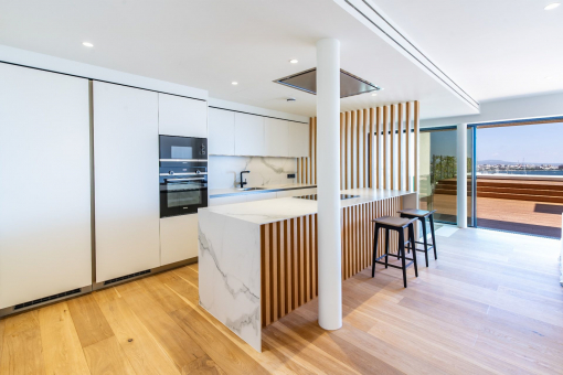 Modern kitchen