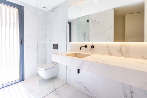 Elegant bathrooms