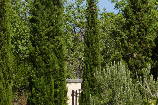 Garten  2.Haus