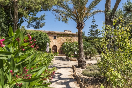 house in Ses Salines