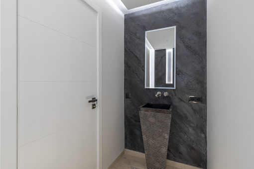 Modern guest bathroom