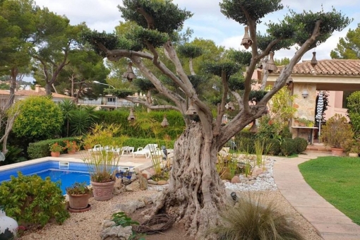 house in Santa Ponsa