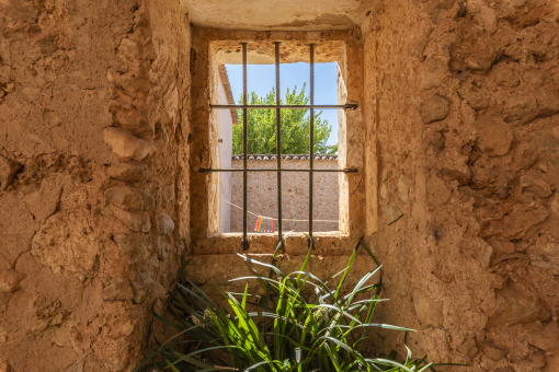 Blick in den Patio