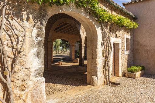 Blick in den Patio