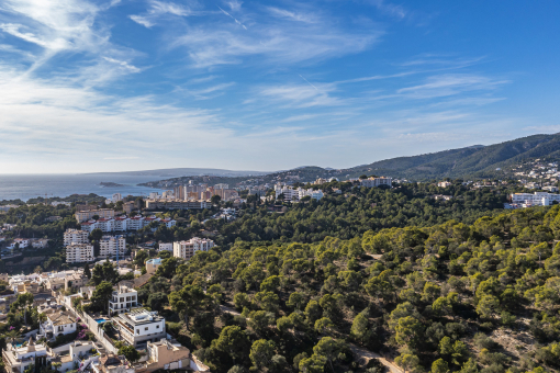 Bellver Forest is the city's green lung