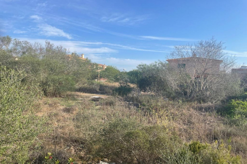Grundstück in Cales de Mallorca