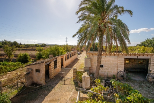 Authentic finca with old mill for renovation close to Llucmajor