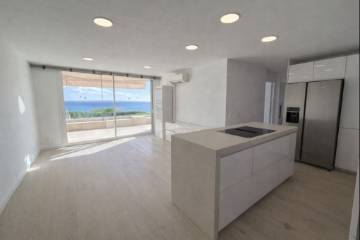 Kitchen and living area