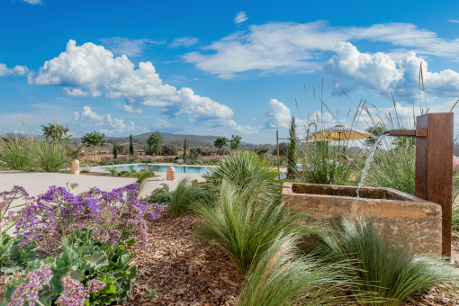 Liebevoll angelegter Garten