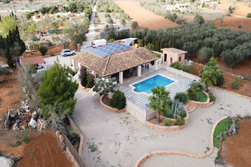 View from above
