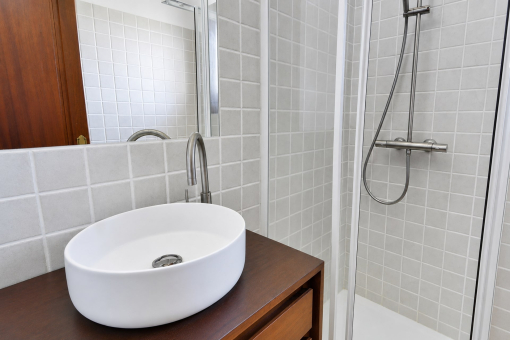 Modern bathroom with shower and sink