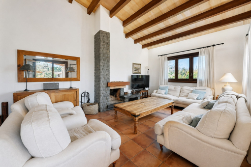 Bright living room with fireplace and windows