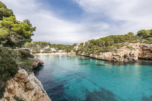 Cristal clear water in the Cala Santanyi