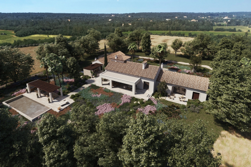 Aerial view rendering