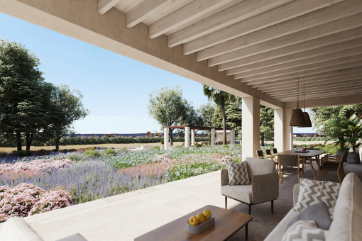 Terrace rendering