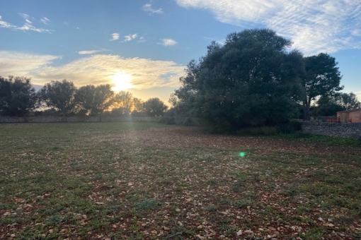 View of the property