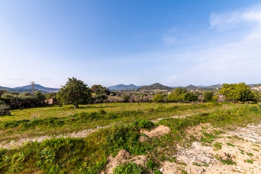 plot in Son Servera for sale