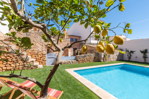 Wonderfully laid-out garden with pool