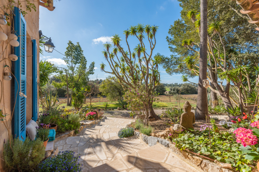 Beautifully laid-out garden with plant