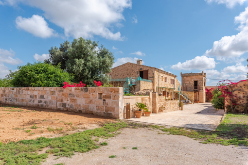 Access to the finca