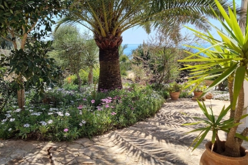 Lovely Mediterranean garden