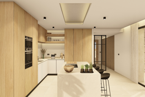 Modern kitchen with cooking island