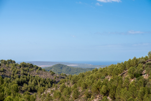 Views as far as the sea