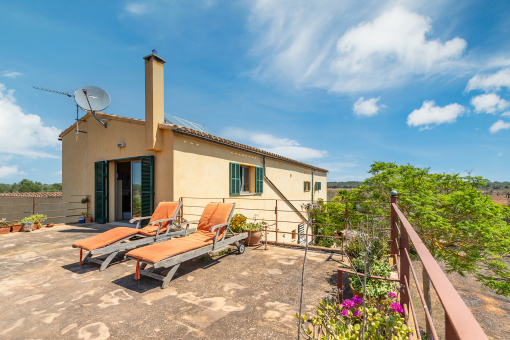 Spacious roof terrace