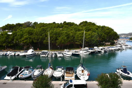 Harbour view