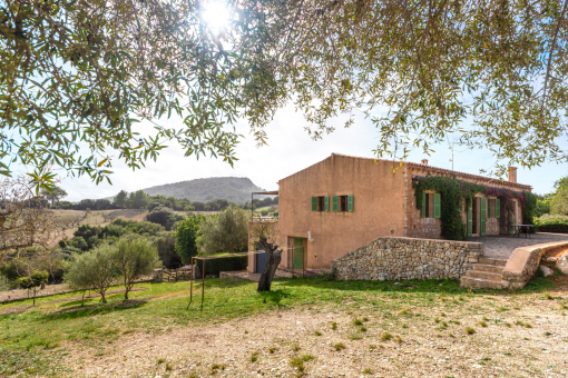 Finca