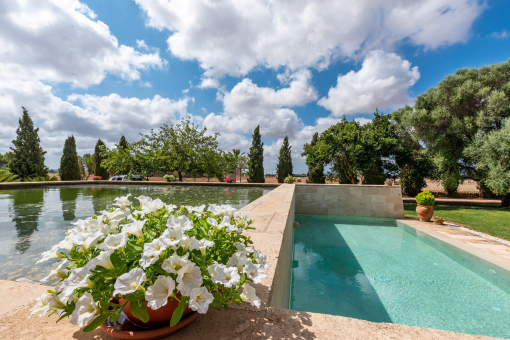 Pool und Wasserreservoir