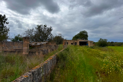 Finca Project Campos