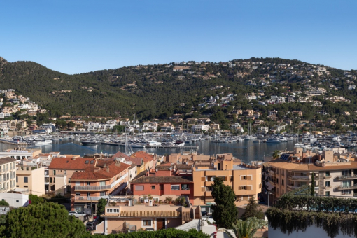 Harbor views