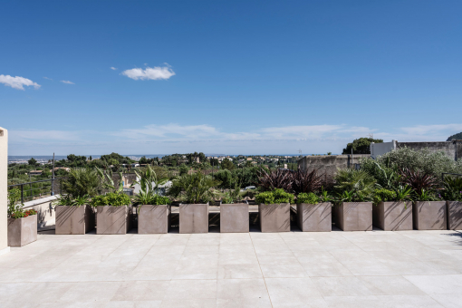 Roof-terrace with panoramic view