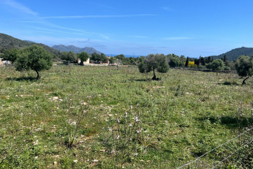 Dream building plot in prime location, just a short distance from the coast in Son Servera