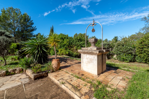 Garden with old fountain