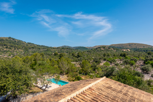 View from Bedroom