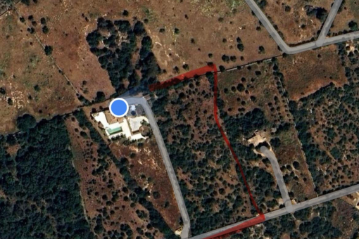 Luftbild 2-Parzellen