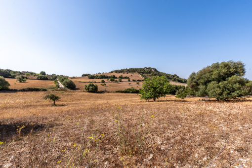 Amazing plot with building license