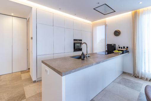 Modern kitchen