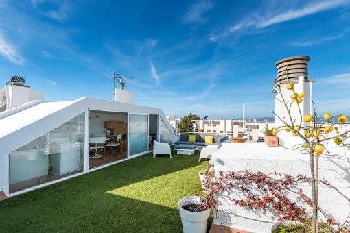 Fantastic roof terrace