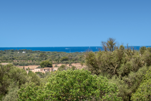 Sea view