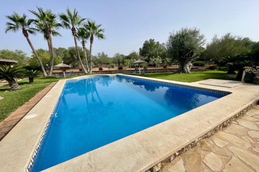 Sun terrace at the pool