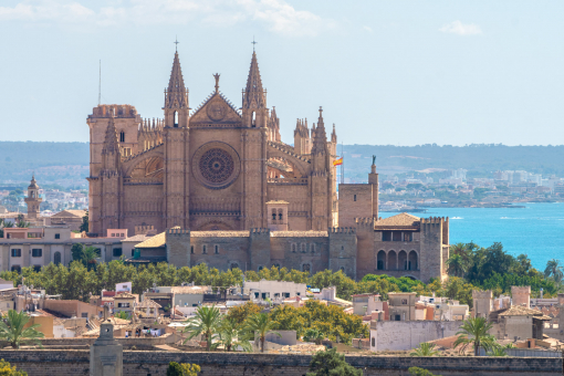 Renovated 2-bedroom apartment with terrace, in the trendy Santa Catalina district