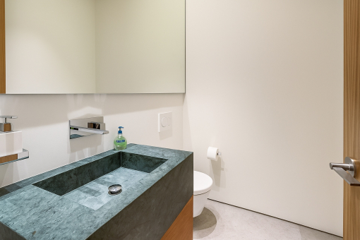 Guest toilet on the entrance level