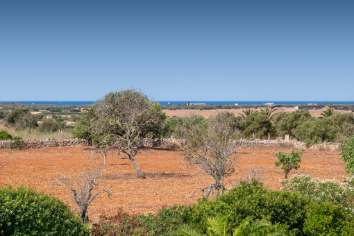 Beautiful views to the sea 