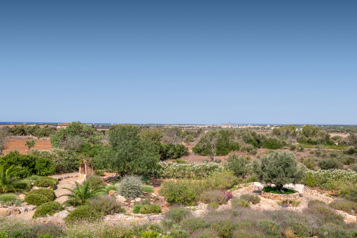 View to the church of Sea Salines