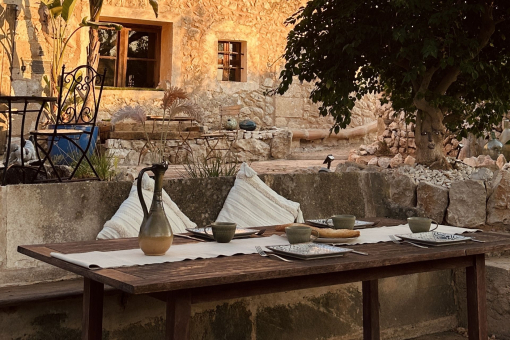 Dinner under the tree