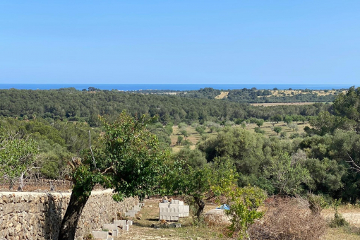 Grundstück in Cala Murada zum Kauf