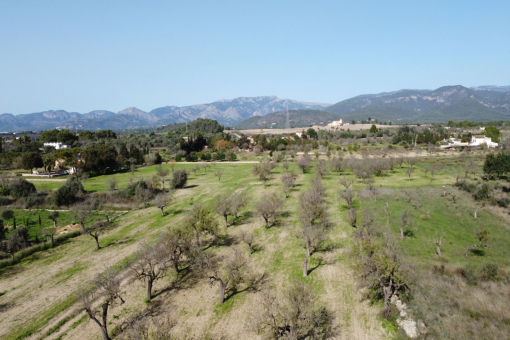 Plot with Tramuntana views